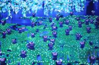 FUSSBALL  Olympia 2008  EROEFFNUNGSFEIER