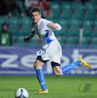 Fussball WM-Qualifikation:    IBISEVIC (Bosnien-Herzegowina)