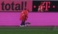 Fussball 1. Bundesliga : eine Katze wird auf dem Spielfeld eingefangen