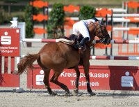 Reiten Tuebinger Landeschampionat 2015