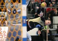 Handball-WM, Halbfinale, Deutschland - Frankreich
