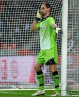 Fussball 1. Bundesliga, Saison 2011/2012: Hoffenheim, Starke