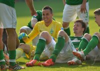 Fussball, 1. Bundesliga  Saison 2013/2014: SV Werder Bremen - 1899 Hoffenhein