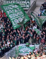 Fussball  1. Bundesliga  13/14: TSG 1899 Hoffenheim - SV Werder Bremen