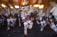 Schwaebisch-alemannische Fastnacht / Fasnet Rottenburg Hexentanz 2015
