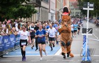 Laufen / Leichtathletik Stadtlauf / Erbelauf 2025