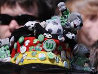 Fussball 1. Bundesliga 08/09   VfL Wolfsburg