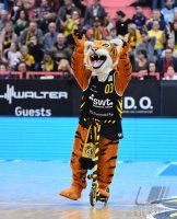 Barmer 2. Basketball Bundesliga  18/19: Tigers Tuebingen - FC Schalke 04