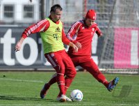 Fussball 1. Bundesliga: Ivica Olic (li.) gegen Anatoliy Tymoshchuk  (FC Bayern Muenchen)
