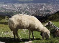 FUSSBALL EM 2008, Stadtansicht Innsbruck