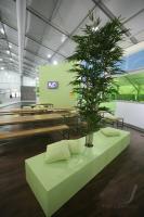 Fussball  WM 2006: Training Deutschland