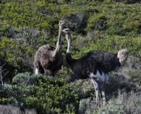 LAND UND LEUTE  FUSSBALL WM 2010
