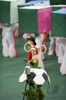 FUSSBALL EURO 2008: Schweiz - Tschechien