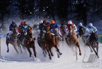 White Turf  St. Moritz 2010