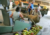 Obstannahme in Weilheim