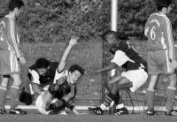 Fussball 1. Bundesliga Saison 2018/2019: Nico Willig, neuer Trainer beim VfB Stuttgart