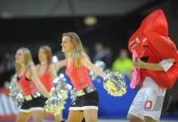 Handball EM 2010: GER- POL