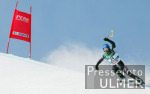 SKI  WM 2003  St.Moritz Abfahrt Herren