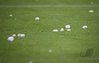 Fussball 1. Bundesliga 24/25: FC Bayern Muenchen - TSG 1899 Hoffenheim