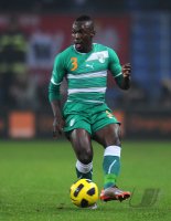 Fussball International:  Polen - Elfenbeinkueste