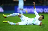 Fussball International WM Quali 2014: Milivoje Novakovic (Slowenien)