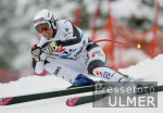 SKI   Weltcup  Abfahrt  Mnner Andreas Schifferer (AUT) belegt Platz 4