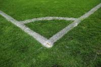 Fussball 1. Bundesliga: Symbolbild