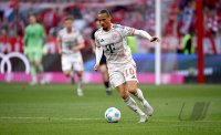 Fussball 1. Bundesliga 24/25: FC Bayern Muenchen - Borussia Moenchengladbach