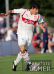 Fussball 1. Bundesliga: VfB, GOMEZ Einzelaktion
