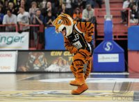 Basketball 1. Bundesliga 2011/2012:  Walter Tigers Tuebingen - Fraport Skyliners Frankfurt