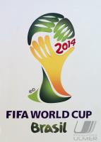 FUSSBALL WM 2014  LOGOPRAESENTATION