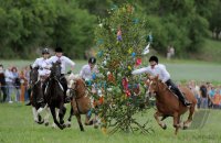 Wurmlinger  Pfingstenreiten 2011 Jahrgang 1991/92