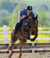 Reiten Horb-Nordstetten Turnier Mai 2012