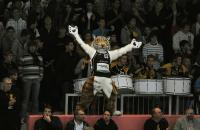 1. Basketball Bundesliga  09/10 Walter Tigers Tuebingen  - Paderborn Baskets