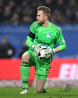 Fussball Bundesliga Saison 16/17: Hamburger SV - Schalke 04