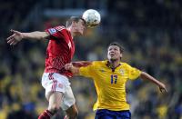 Fussball WM  2010  Qualifikation:  Daenemark - Schweden