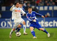 FUSSBALL, 1. BUNDESLIGA, 20. Spieltag: Schalke - Hoffenheim