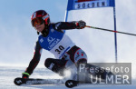 SKI   Weltcup  Riesensalalom  Slden Damen Tanja Schneider (AUT)