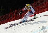 Ski Alpin  Herren  Abfahrt  Kitzbuehel