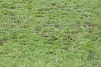 Fussball 1.Bundesliga 06/07  VfB Stuttgart - 1. FC Nuernberg