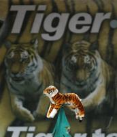 1. Basketball Bundesliga    Walter Tigers  - Goettingen