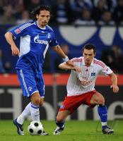 FUSSBALL 1. BUNDESLIGA: Hamburg - Schalke