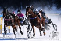 Pferdesport: White Turf  St. Moritz 2022