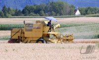 Neustetten (Kreis Tuebingen) Schmuckbild: Getreideernte 2022, Maehdrescher