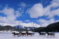 White Turf  St. Moritz 2010