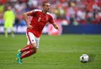 Fussball International Europameisterschaft 2016: Island - Oesterreich