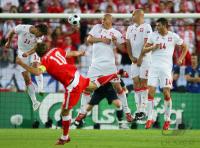 FUSSBALL EURO 2008: Oesterreich - Polen