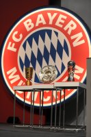 Fussball 1. Bundesliga : DFB Pokal, Meisterschale