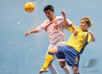 Fussball International FIFA FUTSAL WM 2008