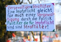 Kundgebung im Tuebinger Anlagenpark: 1200 Menschen demonstrierten gegen die einrichtungsbezogene Impfpflicht